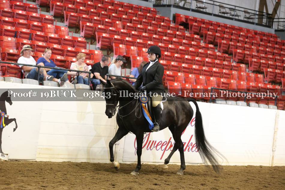 Proof 19BUCK_03843
