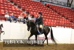 19BUCK_03843 proof