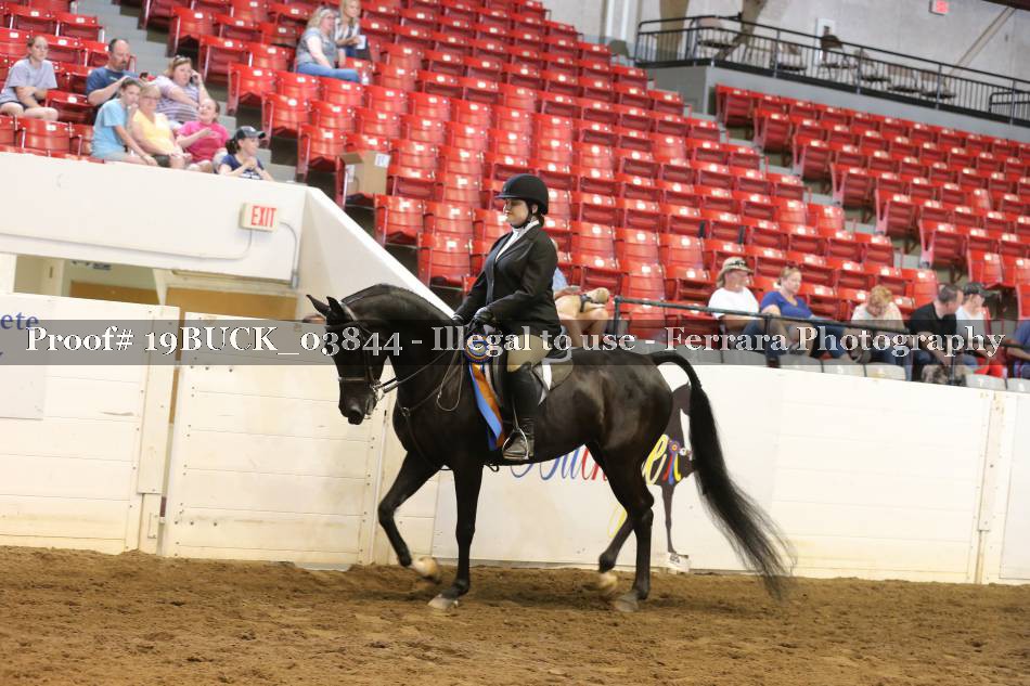 Proof 19BUCK_03844
