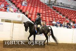 19BUCK_03844 proof