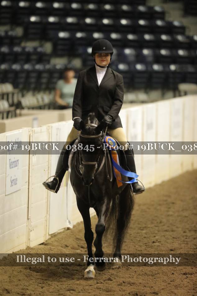 Proof 19BUCK_03845