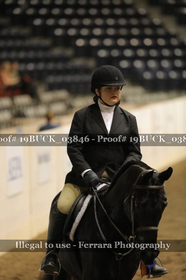 Proof 19BUCK_03846
