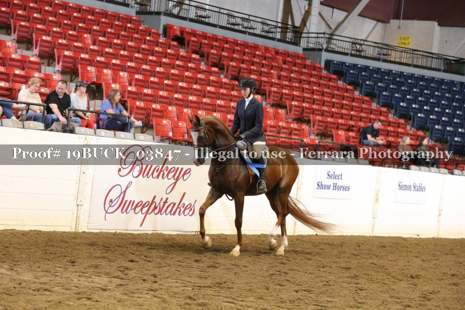 Proof 19BUCK_03847