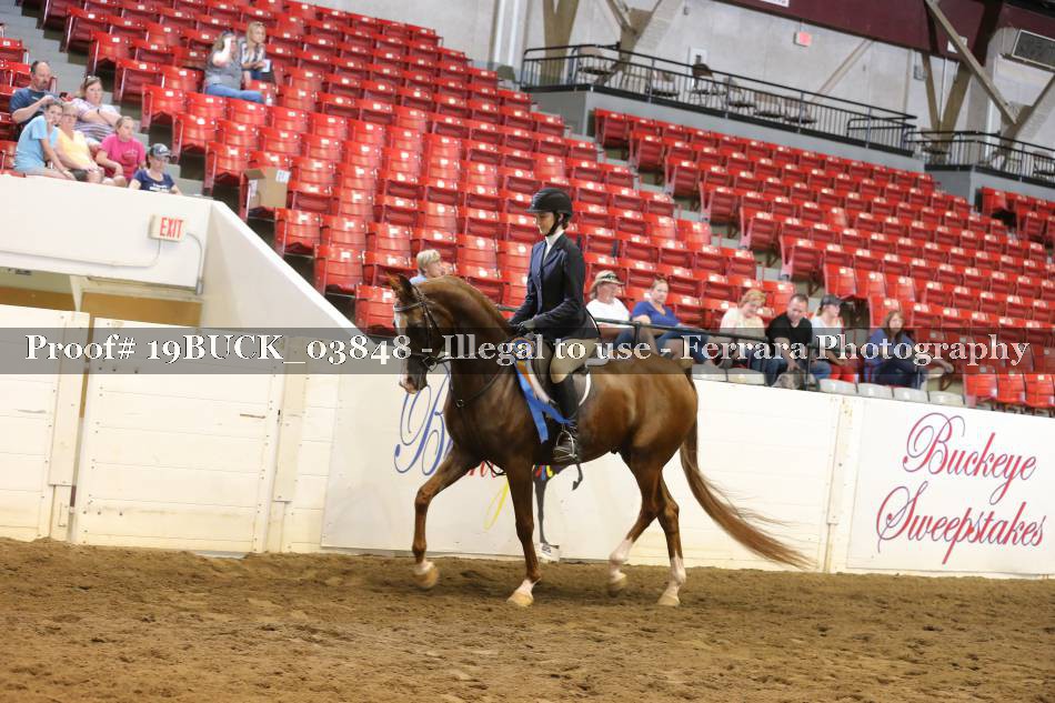 Proof 19BUCK_03848
