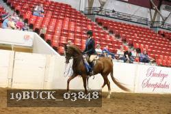19BUCK_03848 proof