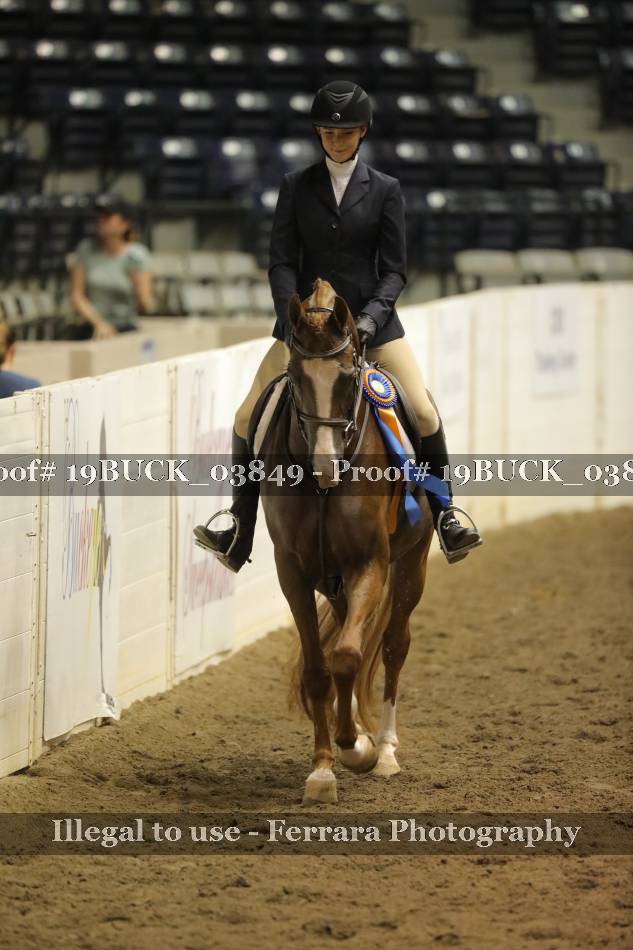 Proof 19BUCK_03849