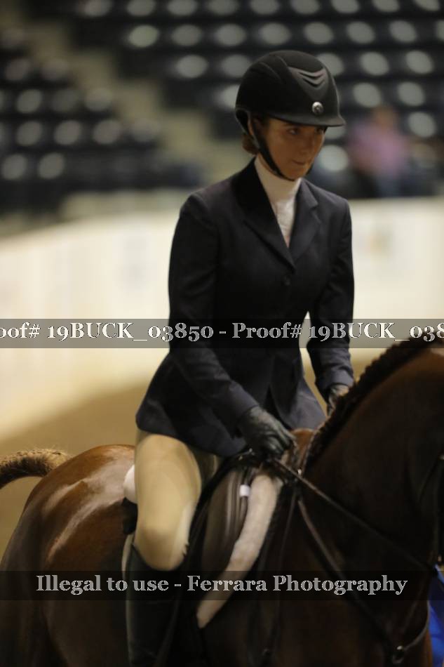 Proof 19BUCK_03850