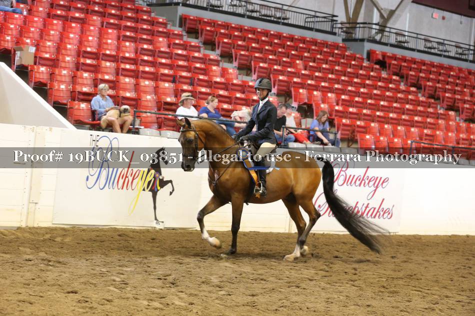Proof 19BUCK_03851