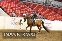 19BUCK_03851 proof