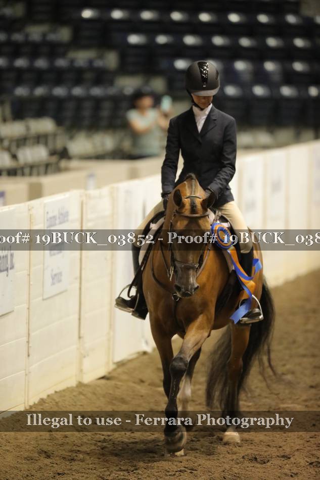 Proof 19BUCK_03852