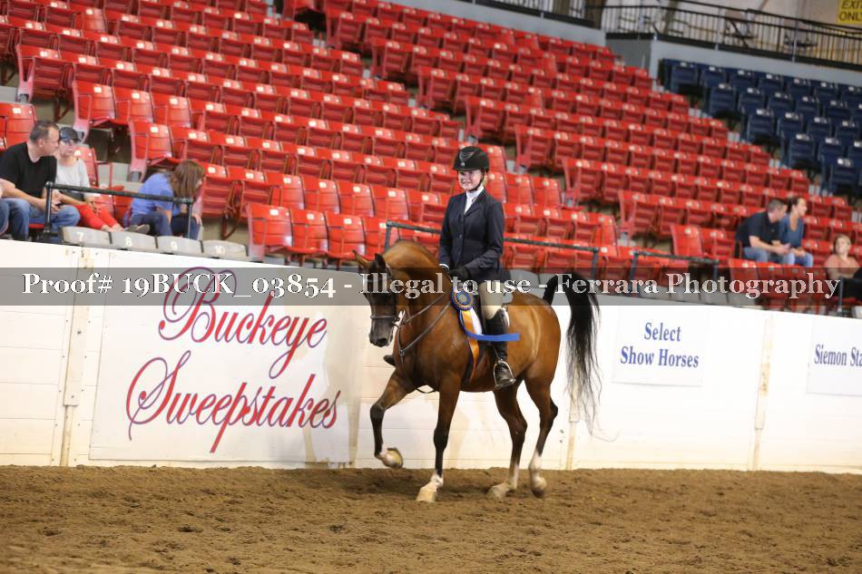 Proof 19BUCK_03854