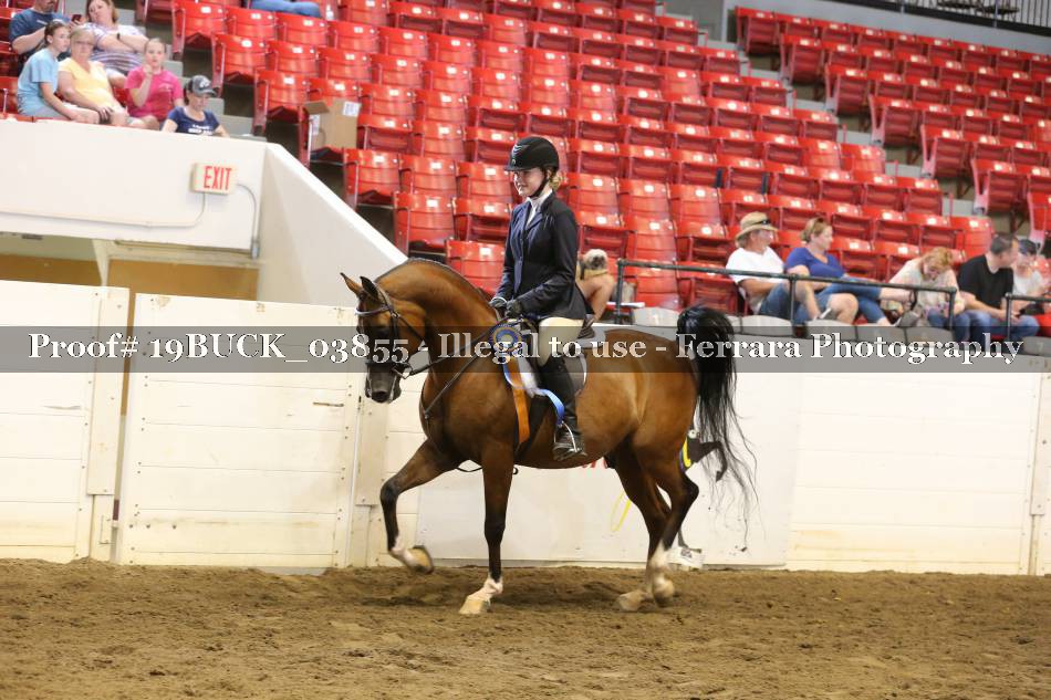 Proof 19BUCK_03855