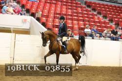 19BUCK_03855 proof