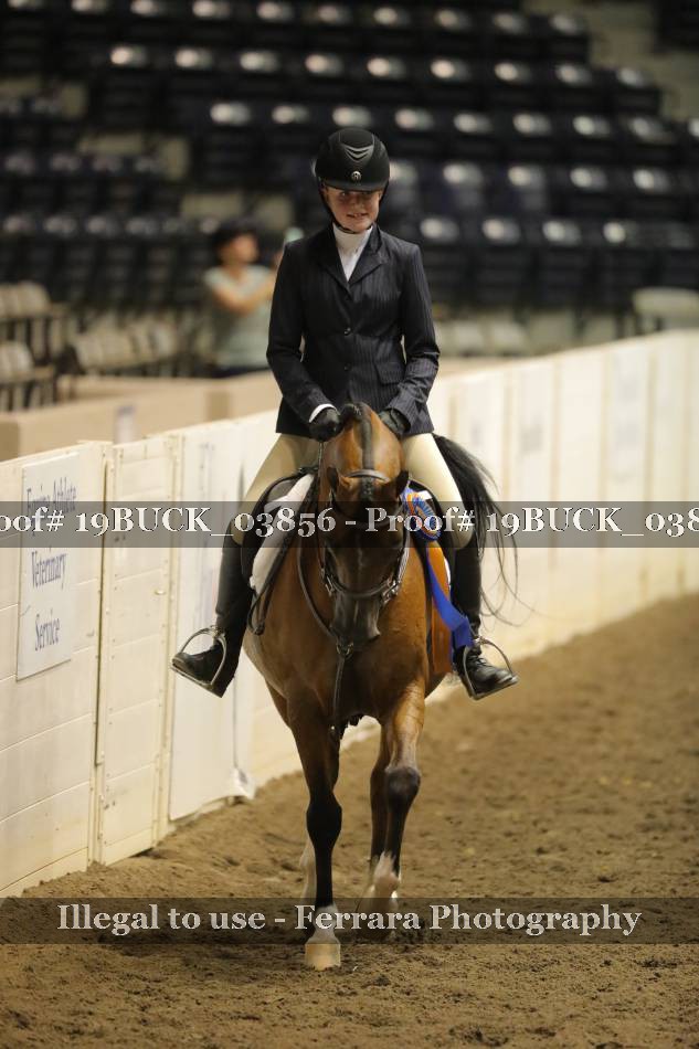 Proof 19BUCK_03856