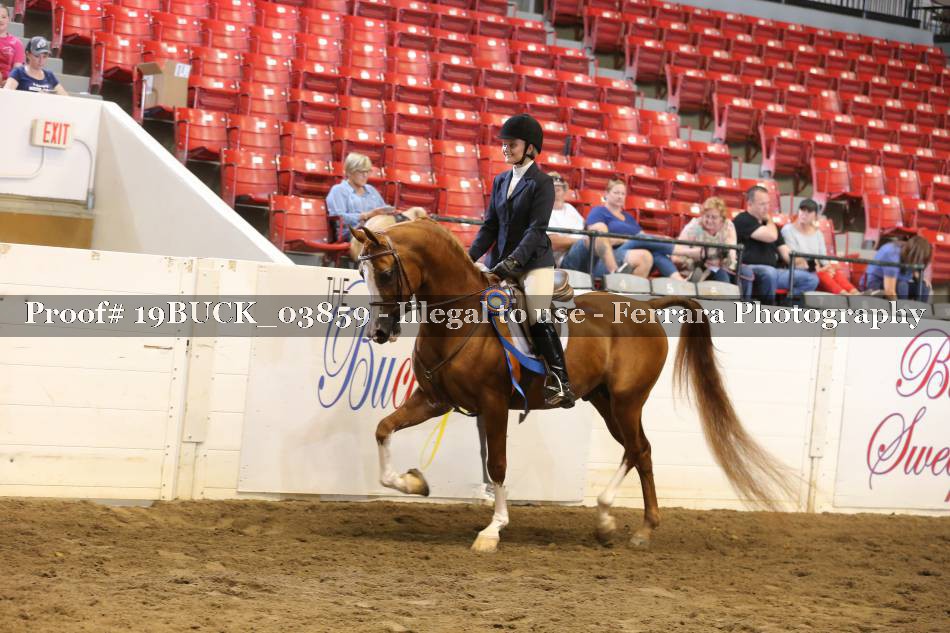 Proof 19BUCK_03859