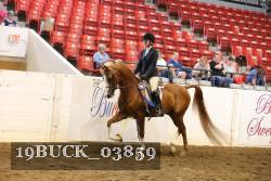 19BUCK_03859 proof