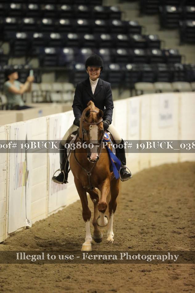 Proof 19BUCK_03860