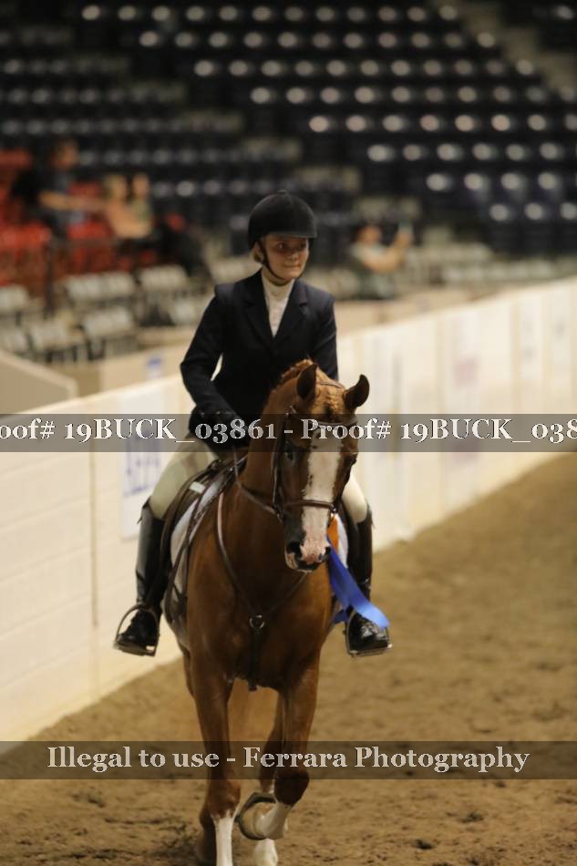 Proof 19BUCK_03861