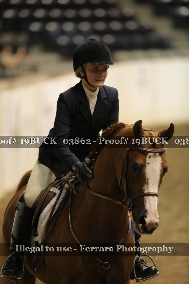 Proof 19BUCK_03862