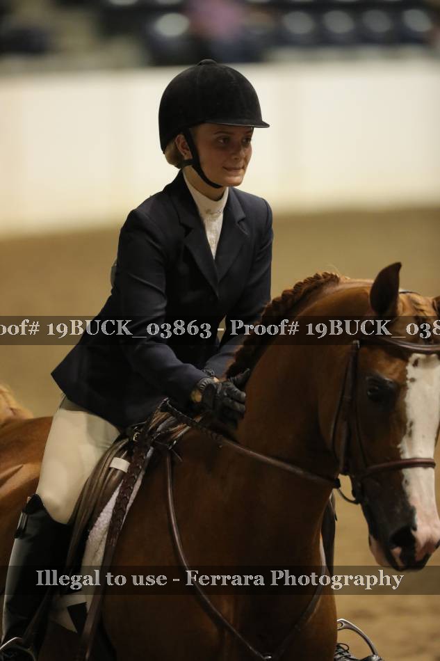Proof 19BUCK_03863