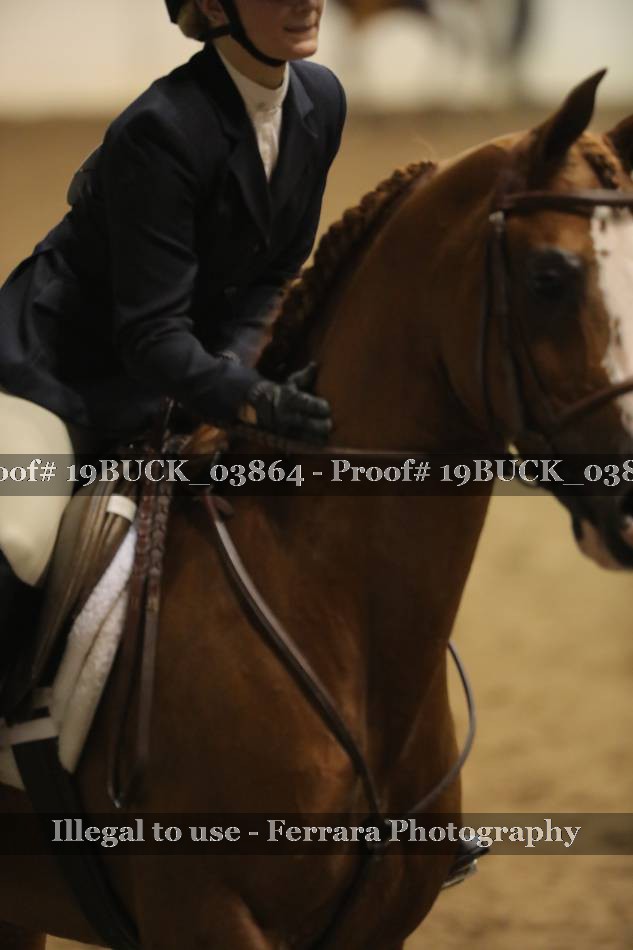 Proof 19BUCK_03864