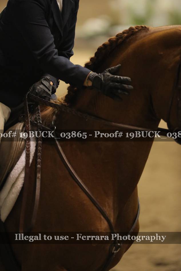 Proof 19BUCK_03865