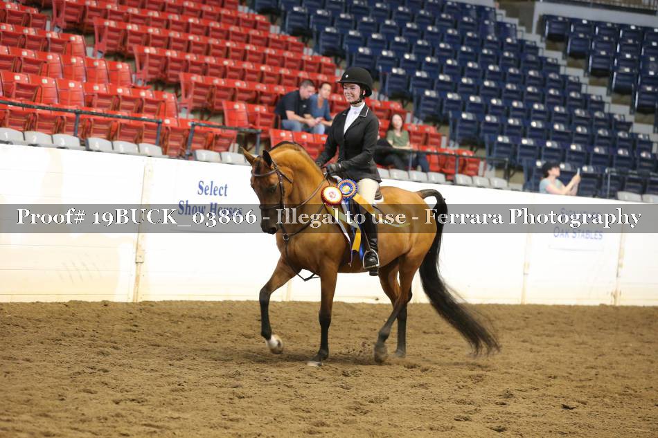 Proof 19BUCK_03866