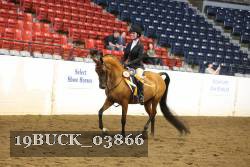 19BUCK_03866 proof
