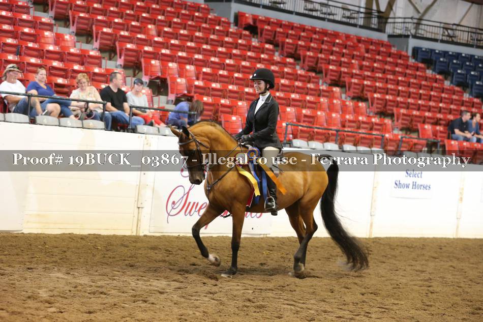Proof 19BUCK_03867