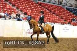 19BUCK_03867 proof