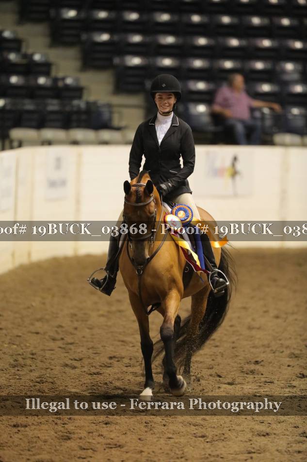 Proof 19BUCK_03868