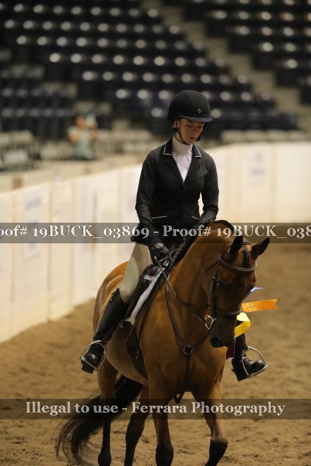 Proof 19BUCK_03869