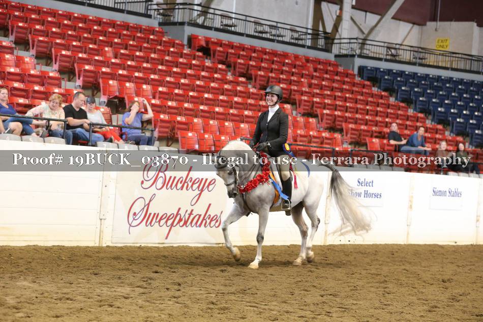 Proof 19BUCK_03870