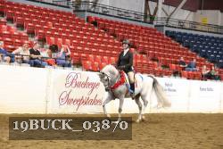 19BUCK_03870 proof