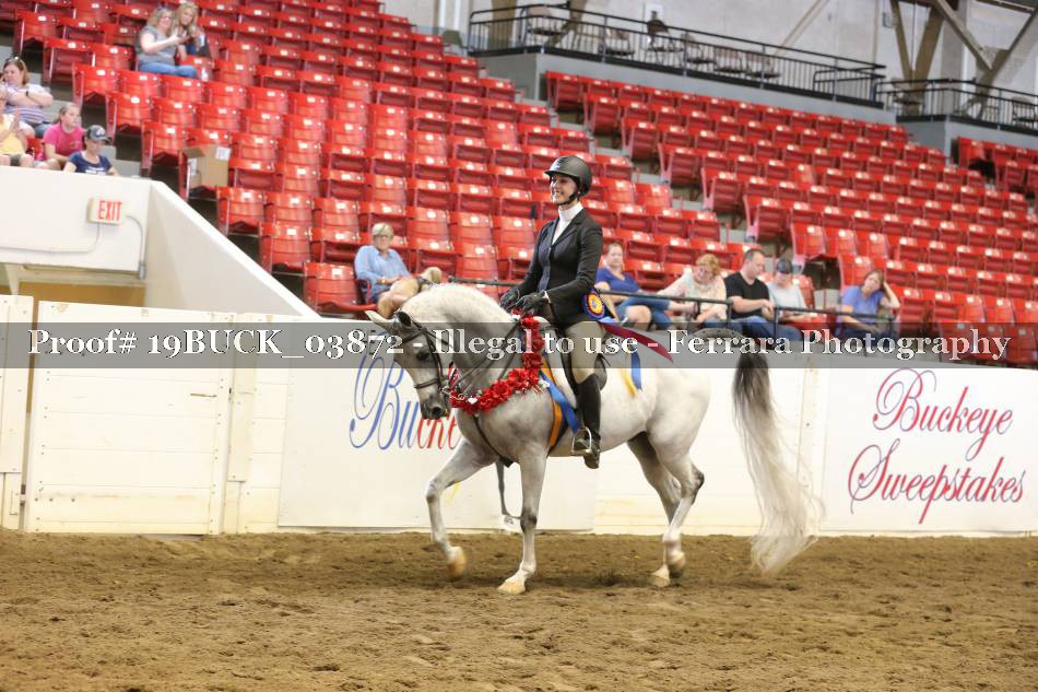 Proof 19BUCK_03872