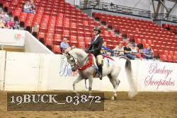 19BUCK_03872 proof