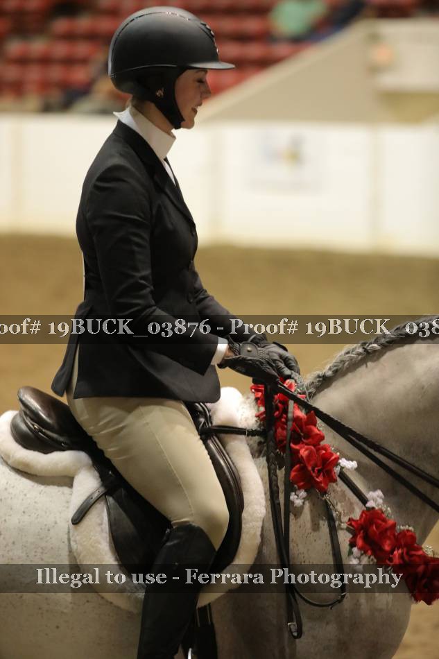 Proof 19BUCK_03876