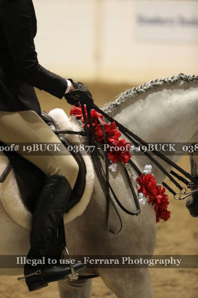 Proof 19BUCK_03877