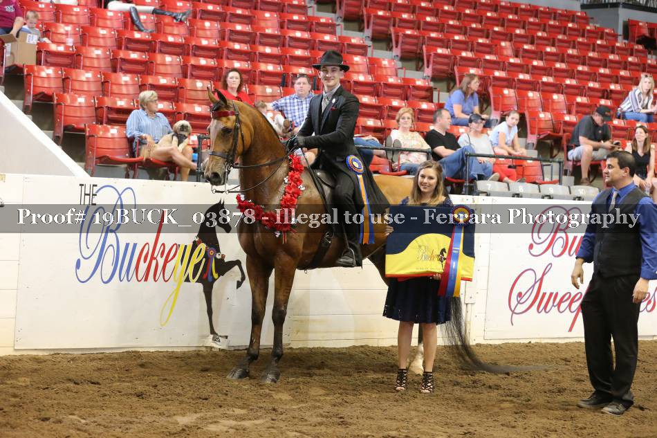 Proof 19BUCK_03878