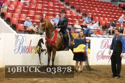 19BUCK_03878 proof