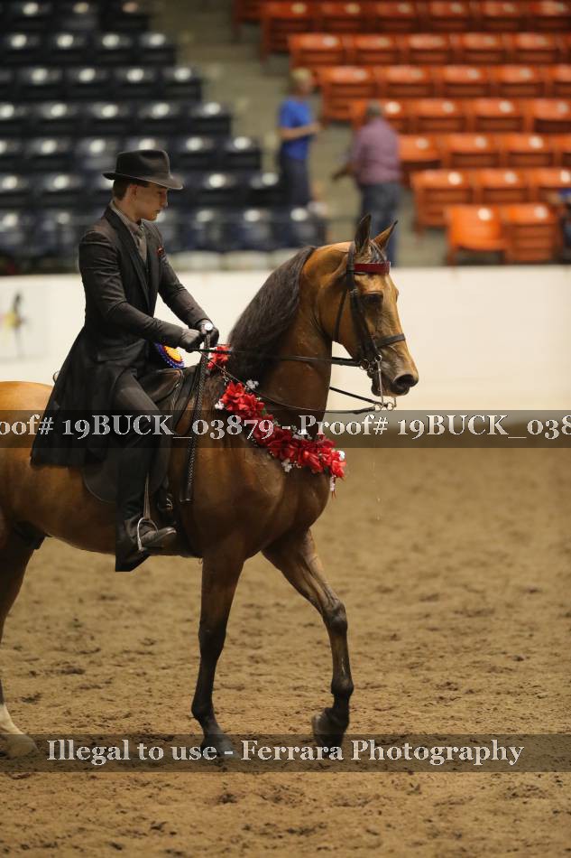 Proof 19BUCK_03879