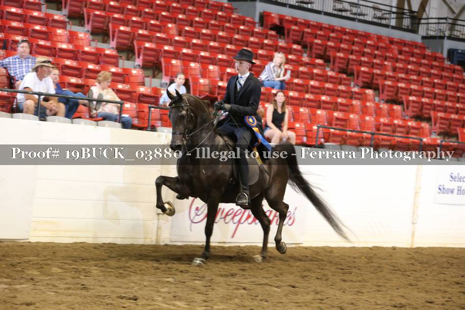 Proof 19BUCK_03880