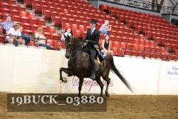 19BUCK_03880 proof