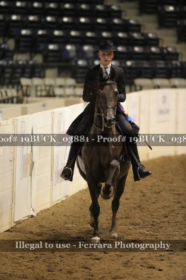 Proof 19BUCK_03881