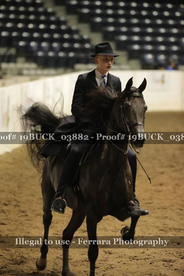 Proof 19BUCK_03882