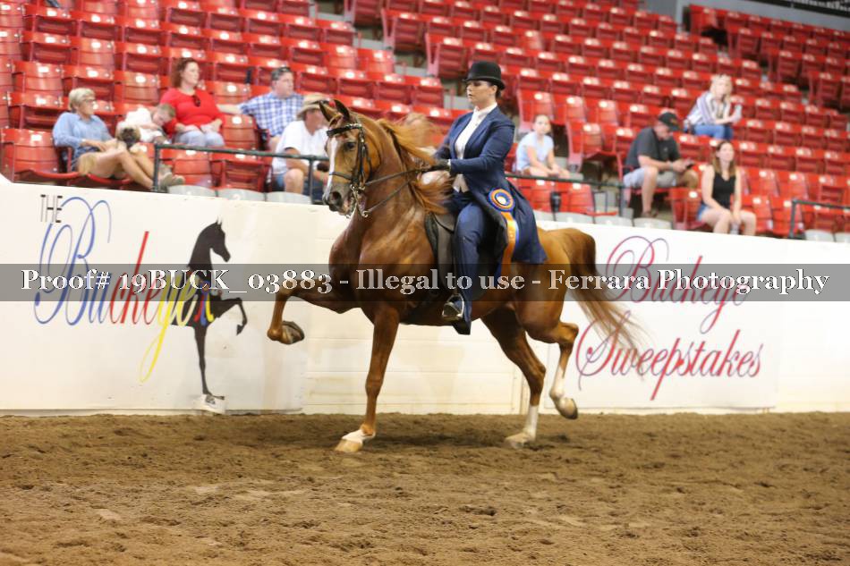 Proof 19BUCK_03883