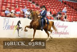 19BUCK_03883 proof