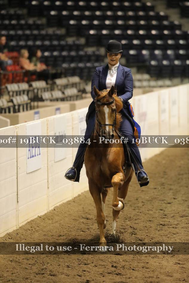 Proof 19BUCK_03884