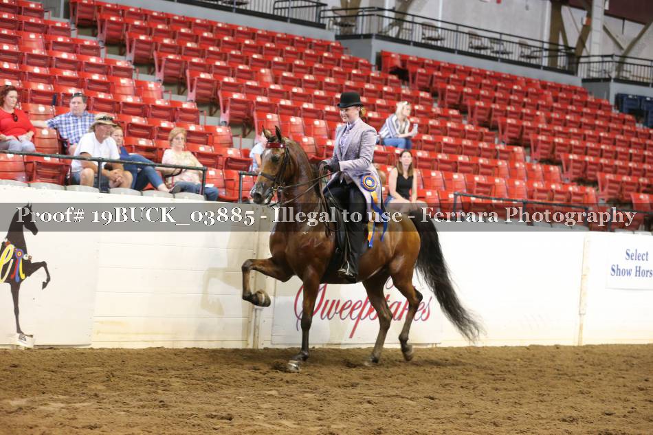 Proof 19BUCK_03885