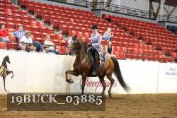 19BUCK_03885 proof